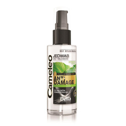 Anti Damage jedwab do włosów zniszczonych 55ml