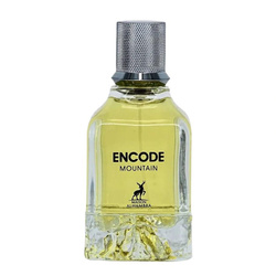 Encode Mountain woda perfumowana spray 100ml
