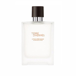 Hermes Terre D'Hermes woda po goleniu flakon 100ml