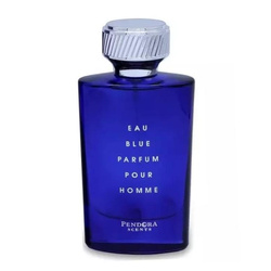 Eau Blue Parfum Pour Homme woda perfumowana spray 100ml
