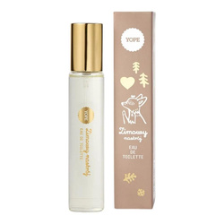 Zimowy Nastrój woda toaletowa spray 33ml