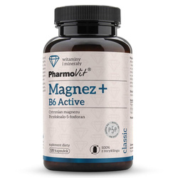Magnez + B6 Active suplement diety 120 kapsułek