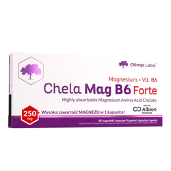 Chela-Mag B6 Forte suplement diety 60 kapsułek