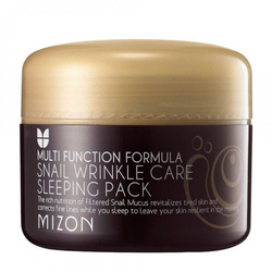 Multi Function Formula Snail Wrinkle Care Sleeping Pack przeciwzmarszczkowy krem-maska na noc 80ml