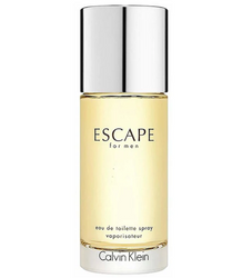 Calvin Klein Escape for Men woda toaletowa spray 100ml