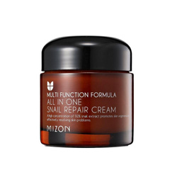 Multi Function Formula All in One Snail Repair Cream wielofunkcyjny krem do twarzy 75ml