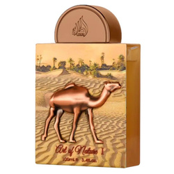 Art of Nature I woda perfumowana spray 100ml