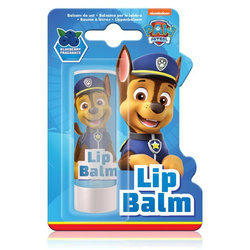 Balsam do ust Blueberry 4.4g
