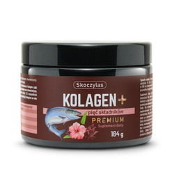 Kolagen+ Premium z łososia suplement diety 184g