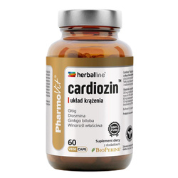 Cardiozin układ krążenia suplement diety 60 kapsułek