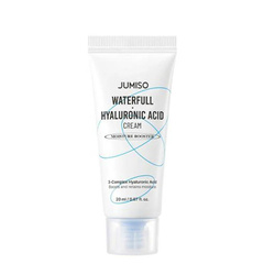 Waterfull Hyaluronic Acid Cream silnie nawilżający krem do twarzy z kwasem hialuronowym 20ml