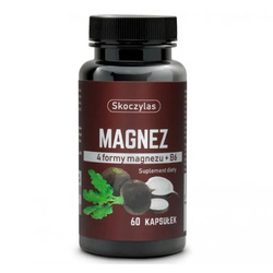 Magnez 4 formy + wit.B6 czarna rzepa suplement diety 60 kapsułek