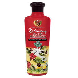 Banfi kofeinowy szampon oczyszczający z ekstraktem z żeń-szenia 250ml
