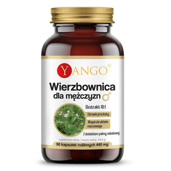 Wierzbownica dla mężczyzn suplement diety 90 kapsułek