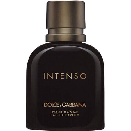 Dolce & Gabbana Intenso Pour Homme woda perfumowana spray 75ml