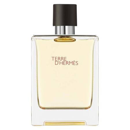 Hermes Terre D'Hermes woda toaletowa spray 100ml